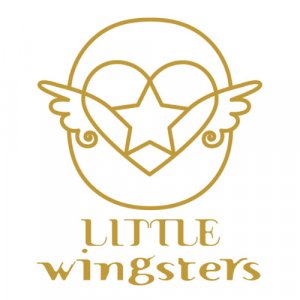 little wingsters logo