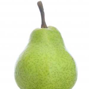 William Bon Chretien pears