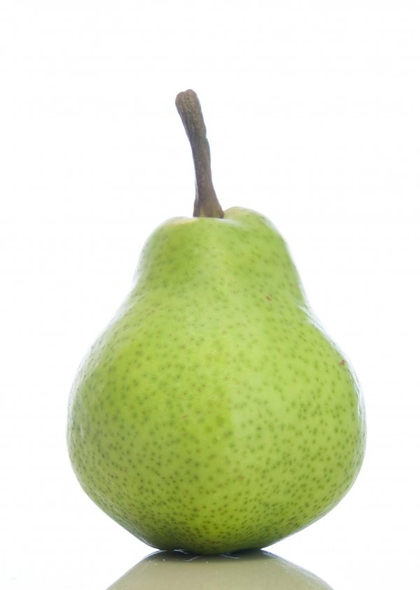 William Bon Chretien pears