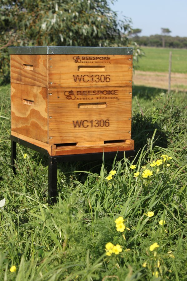 Langstroth Beehive on Stand